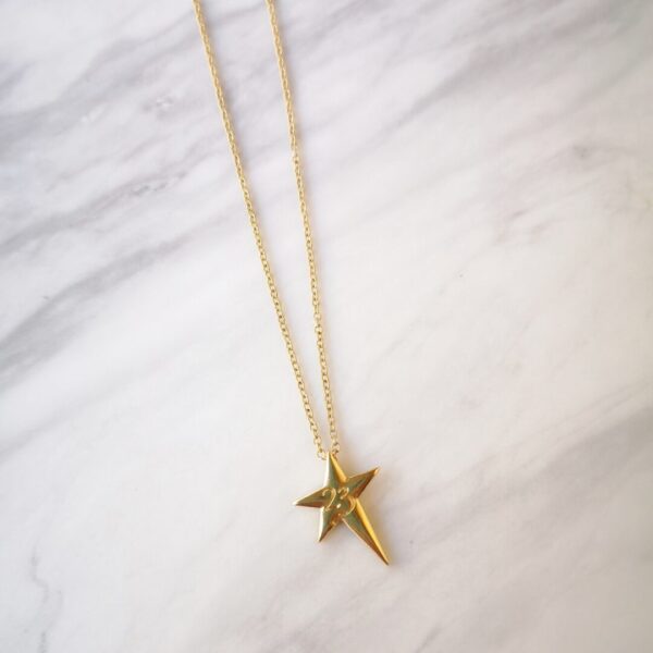 Golden Star Charm Necklace