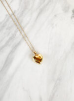 Golden Steel Heart Necklace