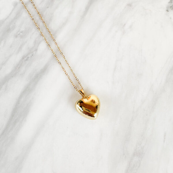 Golden Steel Heart Necklace