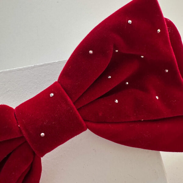 Red Velvet Bow